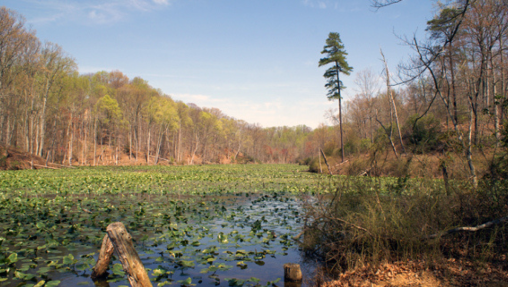 Bacon Ridge Natural Area