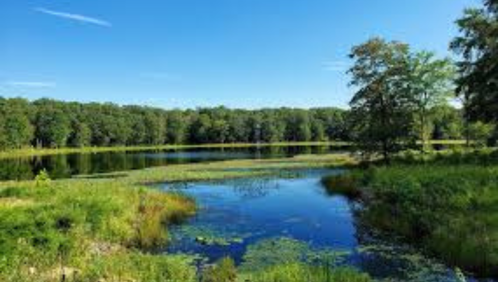 Patuxent Research Refuge 