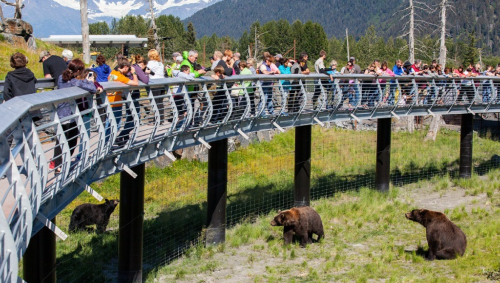 Alaska Wildlife Conservation Center