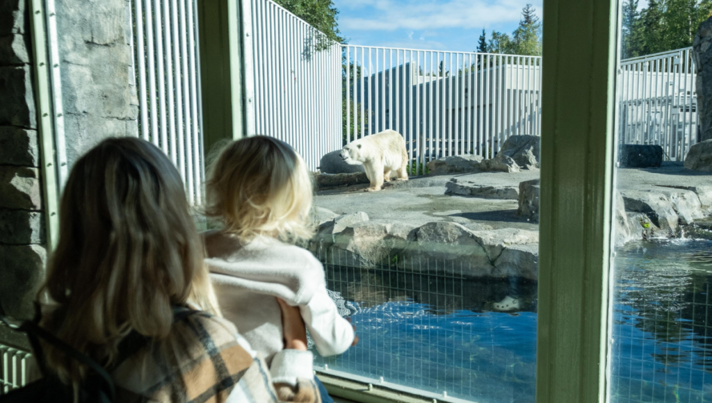 Alaska Zoo