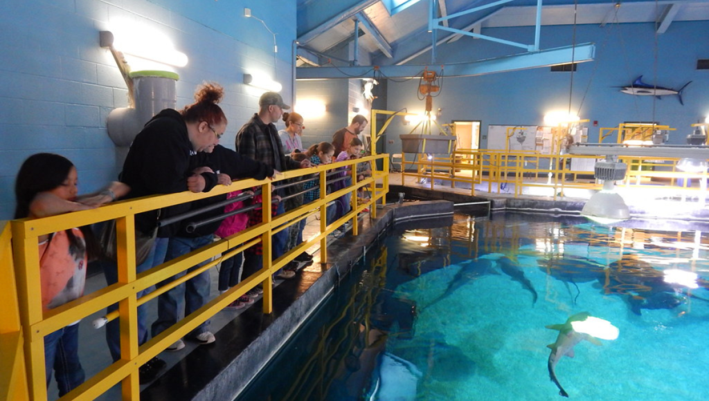 Albuquerque Aquarium