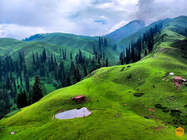 a green hills with trees and a small pond